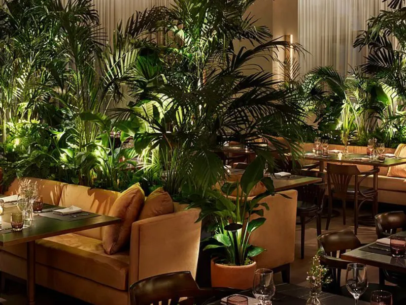 Garden Terrace Experience